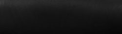 Holton Black